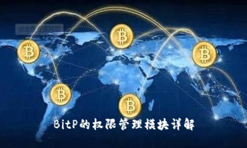 BitP的权限管理模块详解