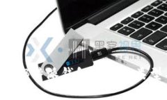 全面解析B特派钱包地址的类型与使用