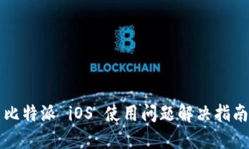 比特派 iOS 使用问题解决指南