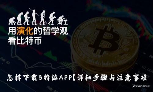 怎样下载B特派APP？详细步骤与注意事项