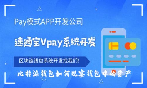 比特派钱包如何观察钱包中的资产