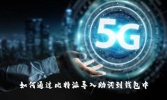 如何通过比特派导入助词到钱包中