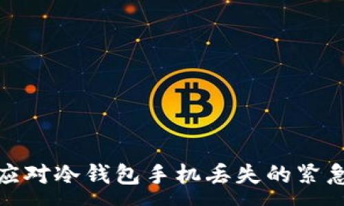 :
如何应对冷钱包手机丢失的紧急情况