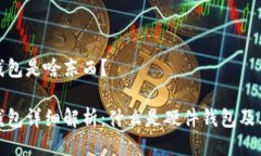 硬件钱包是啥东西？硬件钱包详细解析：什么是