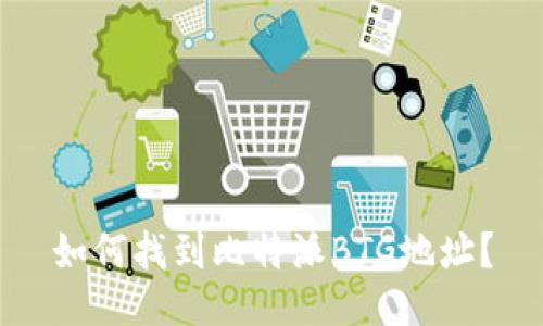 如何找到比特派BTG地址？