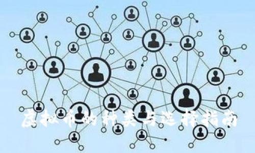 虚拟币的种类与选择指南