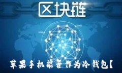   苹果手机能否作为冷钱包？