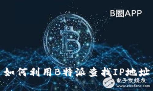 如何利用B特派查找IP地址