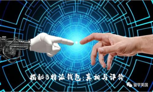 揭秘B特派钱包：真相与评价