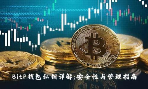 BitP钱包私钥详解：安全性与管理指南