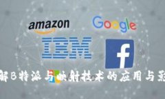 理解B特派与映射技术的应用与影响