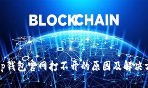 Bitp钱包官网打不开的原因及解决方法