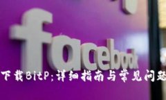 如何下载BitP：详细指南与常见问题解答