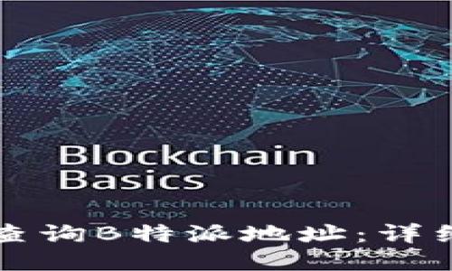 如何查询B特派地址：详细指南