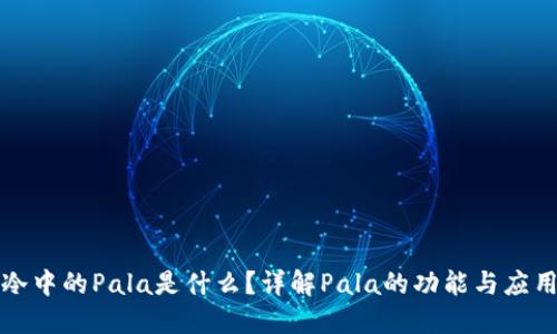 冷中的Pala是什么？详解Pala的功能与应用