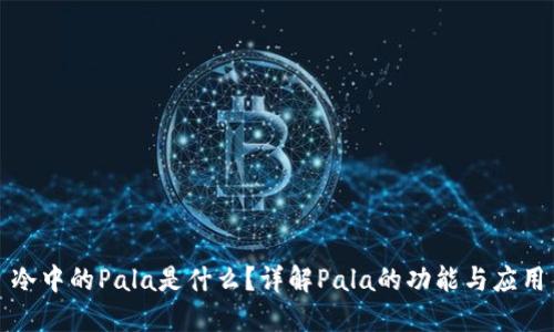 冷中的Pala是什么？详解Pala的功能与应用
