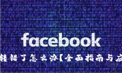 比特派转错了怎么办？全面指南与应对措施